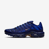 Мъжки маратонки Nike Air Max Plus OG FFF - IQ0170-400