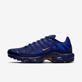 Мъжки маратонки Nike Air Max Plus OG FFF - IQ0170-400