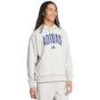 Мъжки суитчър adidas Collegiate Hoodie M - KC3872