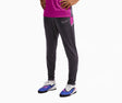 Спортно долнище Nike Dri-FIT Academy 25 (Тъмносив) - HJ3776-021