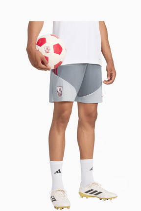 Liverpool FC 26/27 Training шорти KB5806