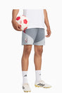 Liverpool FC 26/27 Training шорти KB5806