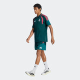 Мъжка тениска REAL MADRID CF POLO - KB6383