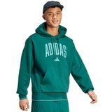 Мъжки суитчър Collegiate Hoodie M  - KC3873